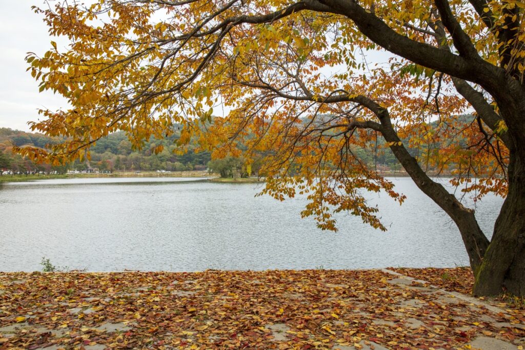 충청북도 여행
