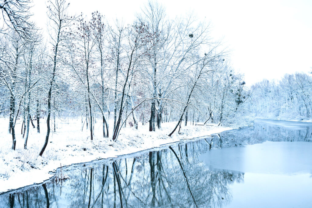 “더 추워진다고요!?” 북극 한파 언제까지 가나 봤더니...'어이쿠!' 1 한파 언제까지
