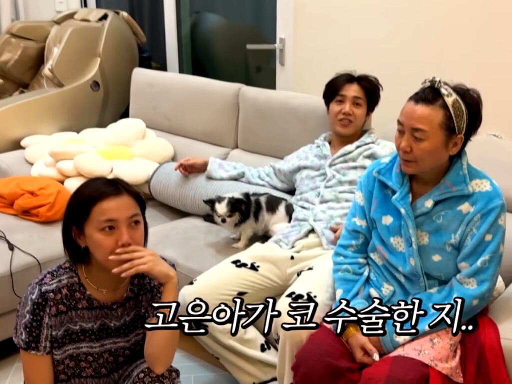 코 수술