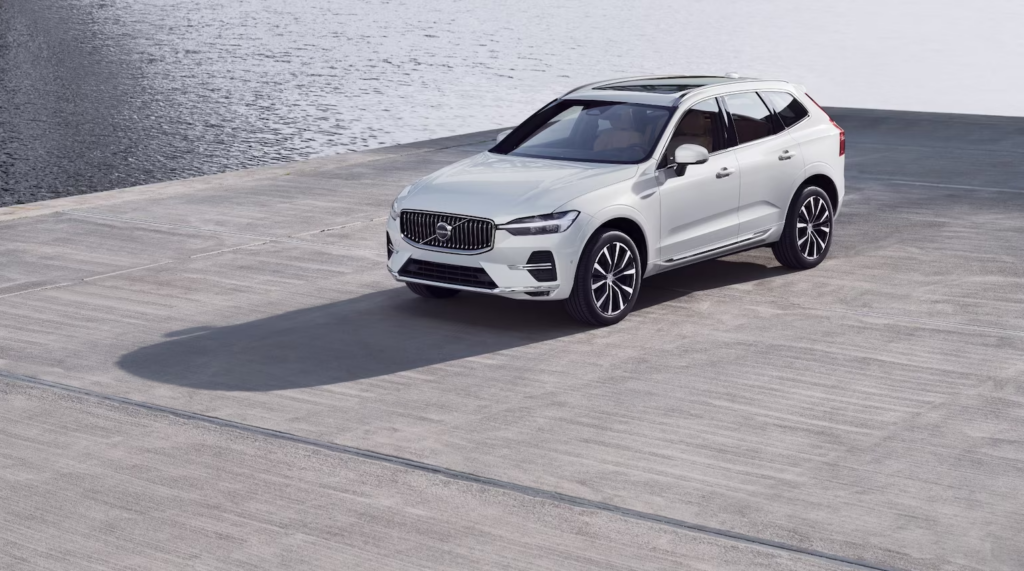 "BMW, 벤츠 마저도 결국"…자존감 높았던 해외차 '이제 안사요', 대체 무슨 일? 4 2월 수입차 판매량 감소