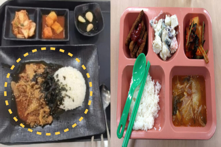 온라인 커뮤니티(좌), 법무부(우)