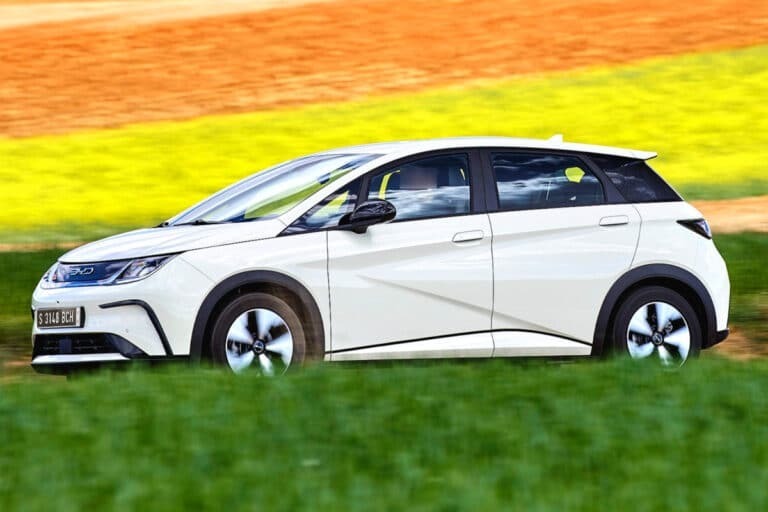 BYD 돌핀 가격
