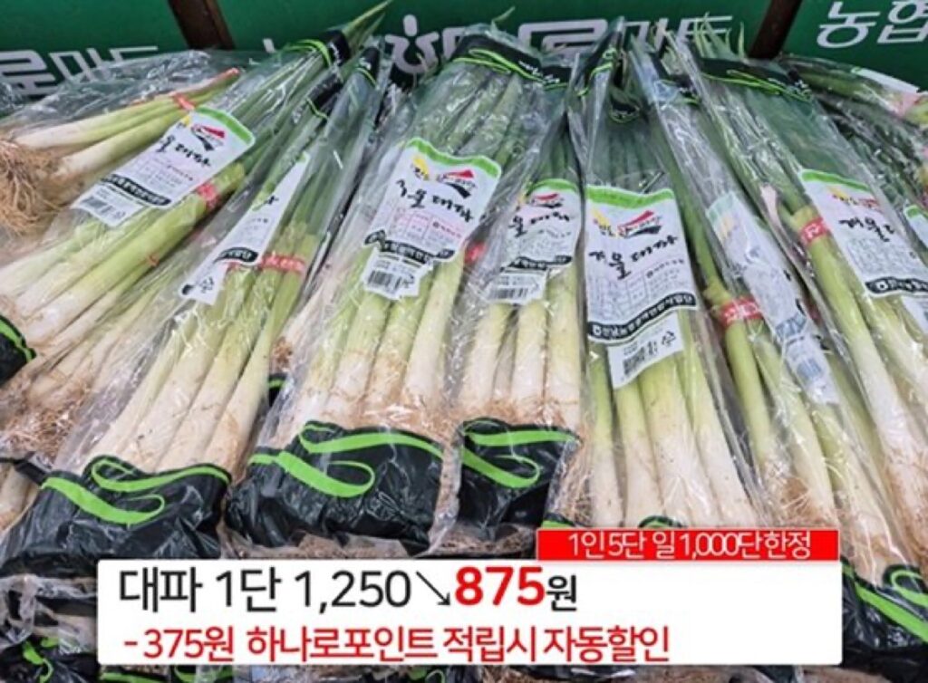 "분명히 뉴스에서 875원이었는데"...윤 대통령 믿고 마트 간 주부, 대파 가격 보고 '화들짝' 2 윤 대통령