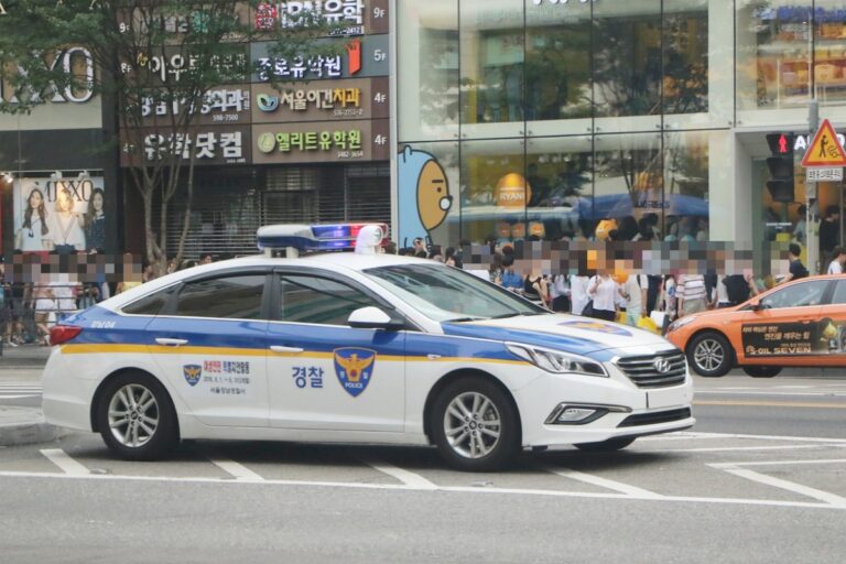 국토부 불법 자동차 집중 단속