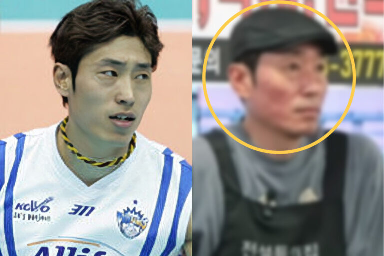 갈색폭격기 신진식