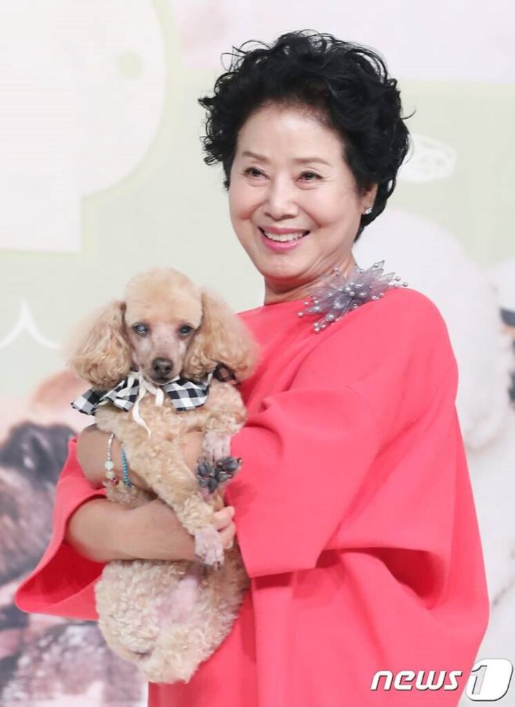"정말 큰일 날뻔"..78세 선우용여, 그 날의 긴박했던 일화 공개에 모두 '아찔' 5 선우용여
