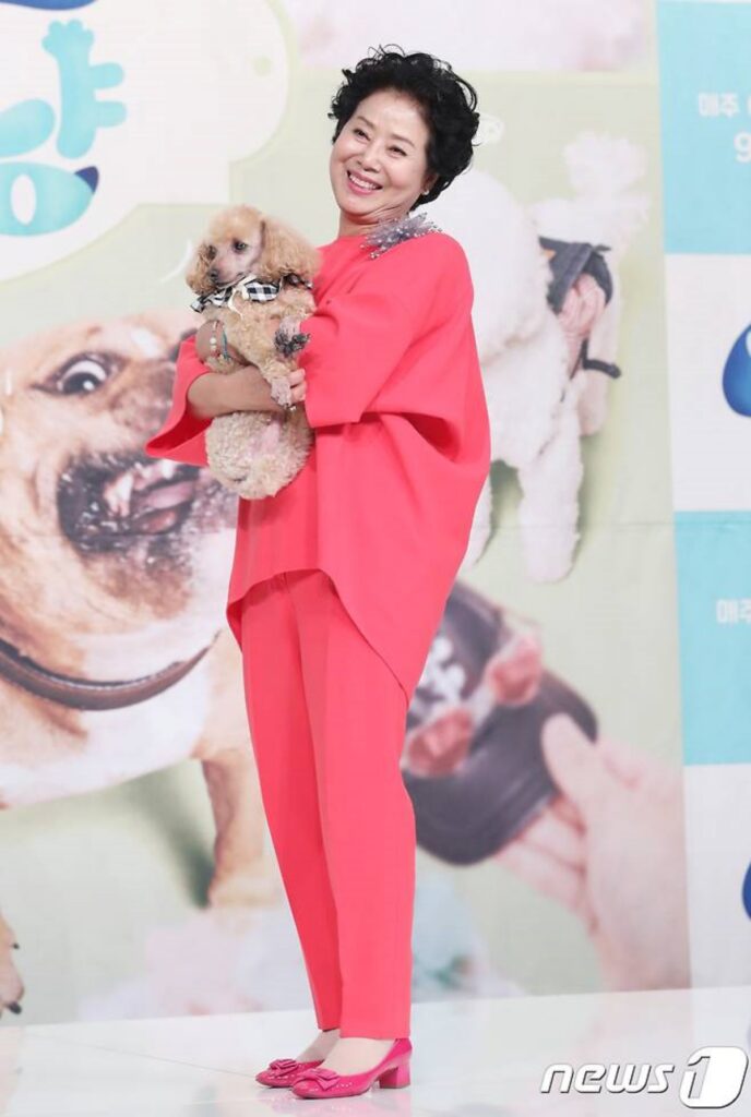 "정말 큰일 날뻔"..78세 선우용여, 그 날의 긴박했던 일화 공개에 모두 '아찔' 8 선우용여