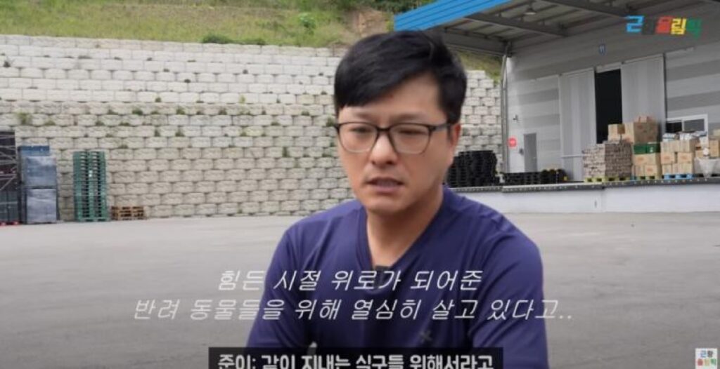 하이틴 스타