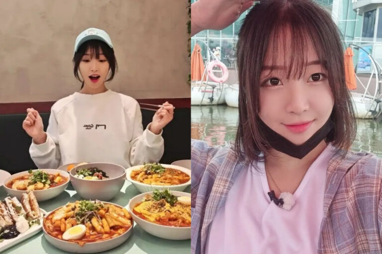 쯔양 수입
