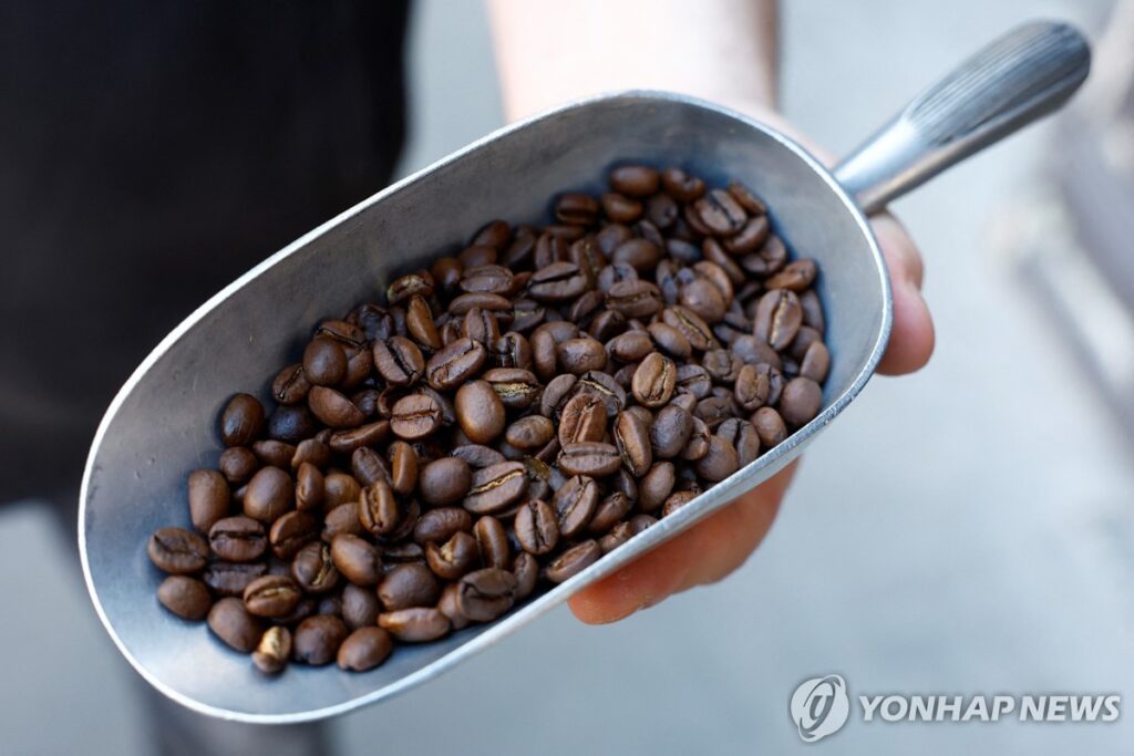 국민 사랑받는 과일인데 "이러다 못 먹는다?"…서민들 '한숨' 3 금귤 가격 인상