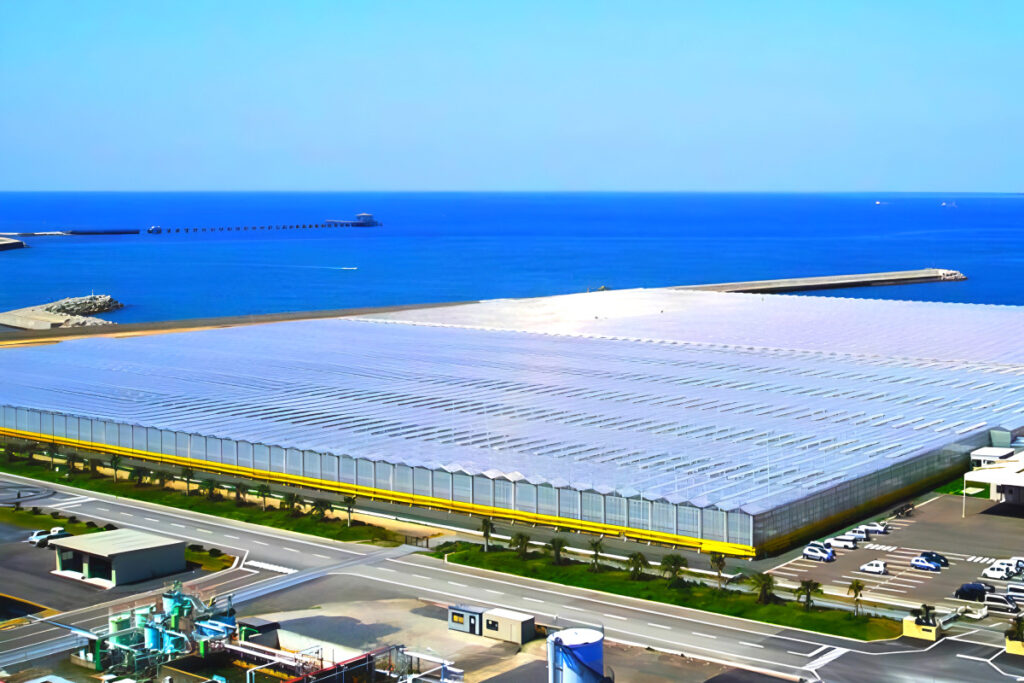 한국 기술이 세계 최초? “여기도 와주세요”…바다 건너 굴러온 돈뭉치에 '깜짝' 1 GreenPlus Australia wins large order