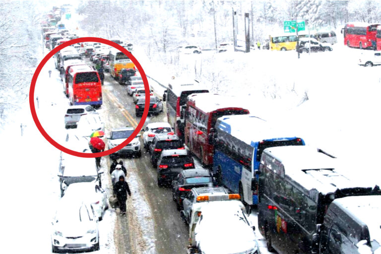 보험사 손해율 적자 기록