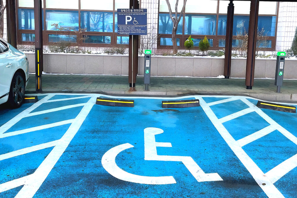 Disabled Parking Smart Guard (4)