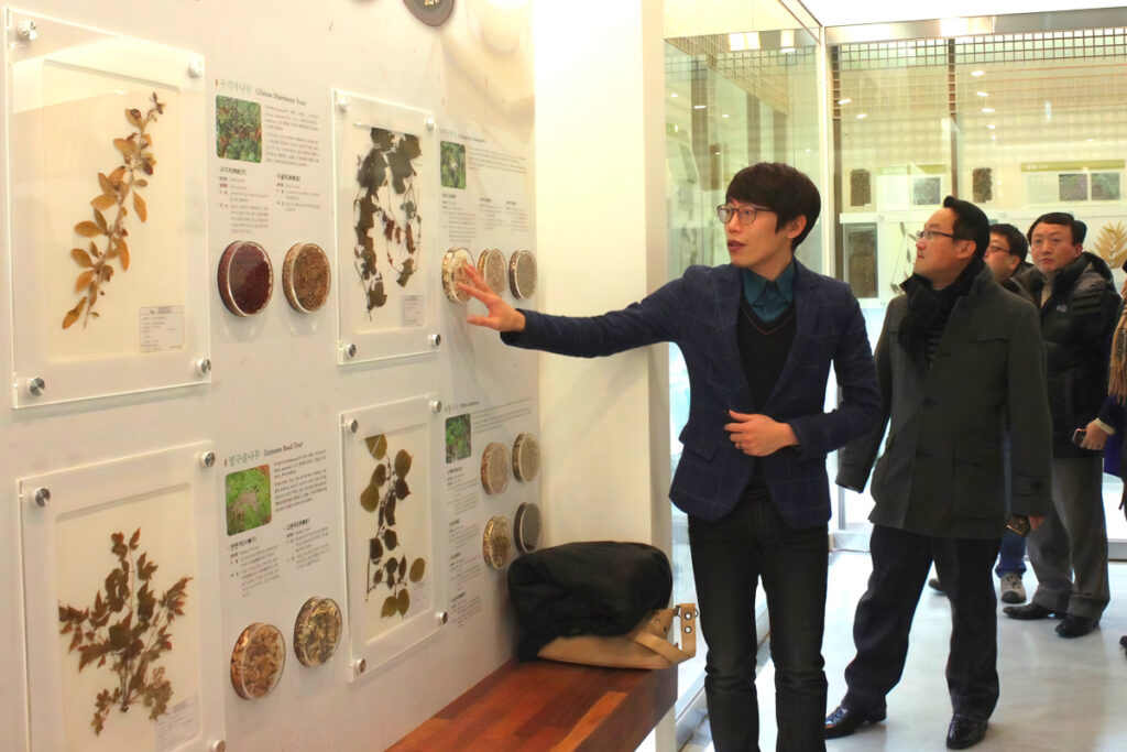 수백년 세월 녹여내더니 "세계가 드디어 주목했다"…한국은 대체 언제부터 6 Traditional medicine market growth (6)