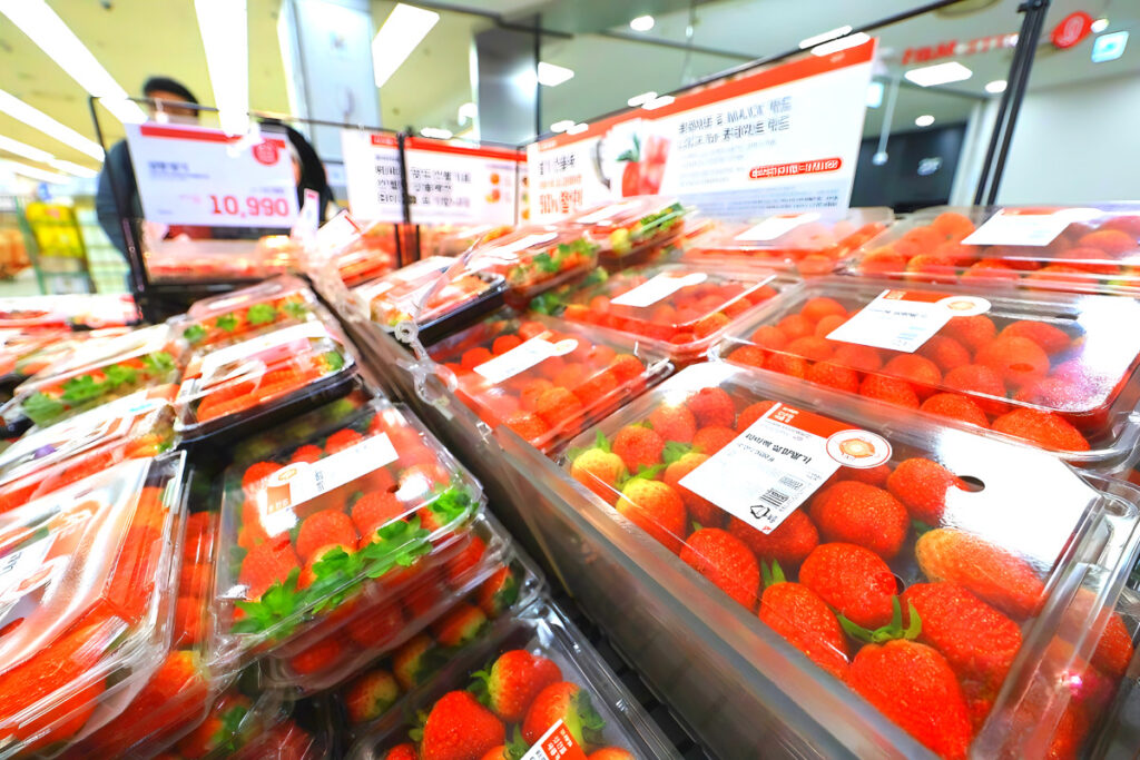 지금 아니면 먹기 힘든데 "갑자기 이러면 어떡하라고"…서민들 '한숨' 5 Winter fruit price spikes (5)