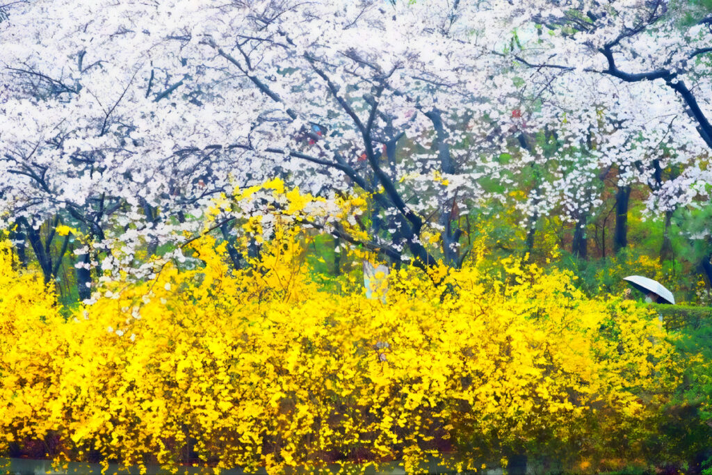 Extreme weather events persist (3)