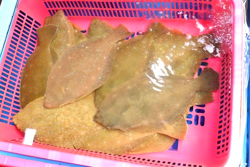 Sashimi price spikes (4)
