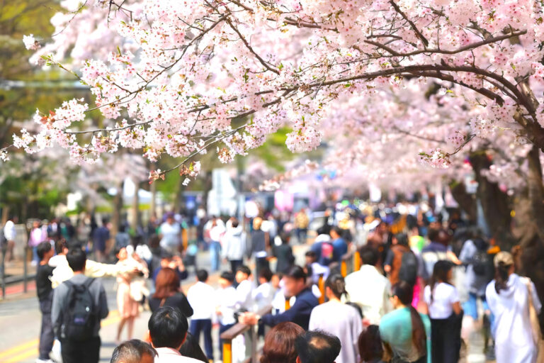 Spring Break Staycation Sale Fest