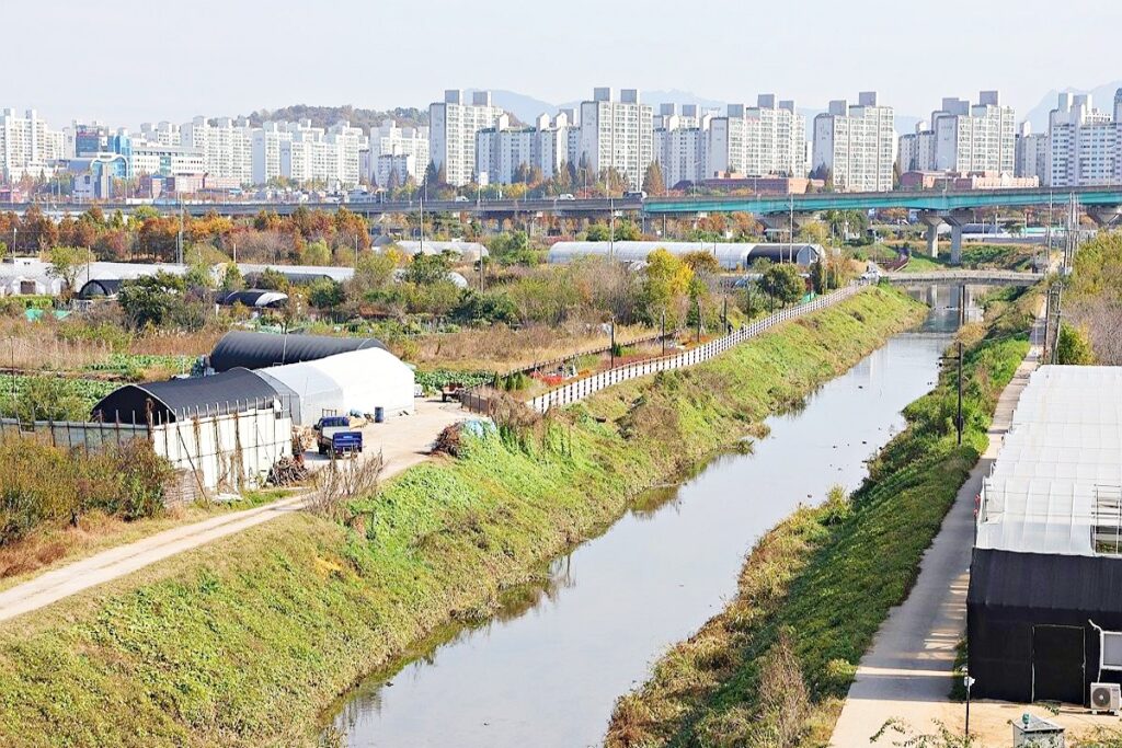 17년 만의 최대 규모…“활력 불어 넣는다” 정부 마침내 결단 내렸다 3 정부