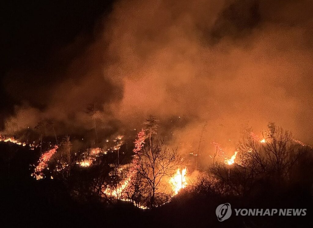 "두 번 다시 엄두도 못낼 듯"…조선시대 때 방화범 처벌 수준보니 '세상에나' 3 방화범 범죄 처벌 수위