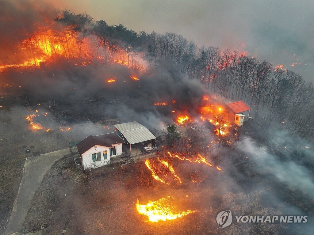 "두 번 다시 엄두도 못낼 듯"…조선시대 때 방화범 처벌 수준보니 '세상에나' 2 방화범 범죄 처벌 수위