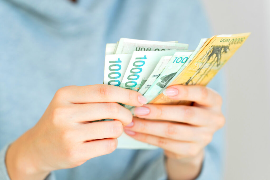 “한국인이 해냈다”, “옆나라 보다 더?”…세계 속 한국인 평균 소득에 '깜짝' 1 Average Korean income