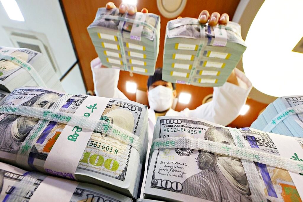 4년 만에 마주한 위기에 "비장의 카드 꺼냈다"…정부의 강력한 '한 수' 1 환율