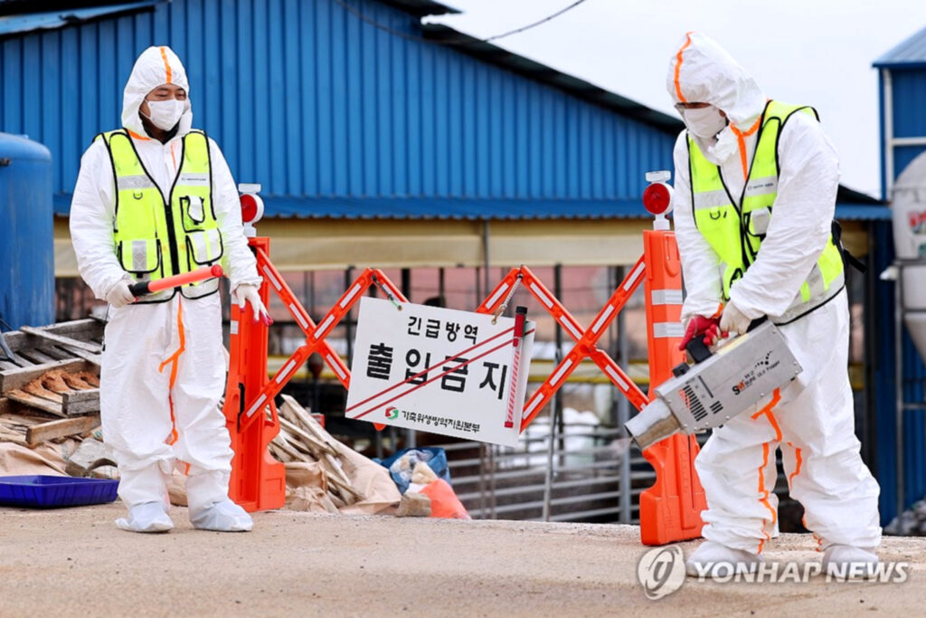 "이게 무슨 날벼락이냐"…81년 만에 터지자, 농민들 '비상' 3 한우 농가 비상