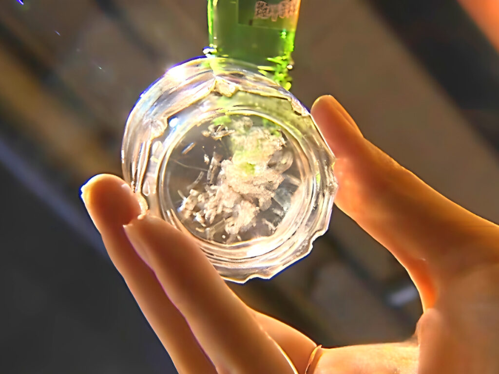 "한국 거 주세요"...라면도 아닌데 세계인 입맛 사로잡았다, 비결은? 9 Increased soju exports to Korea (9)