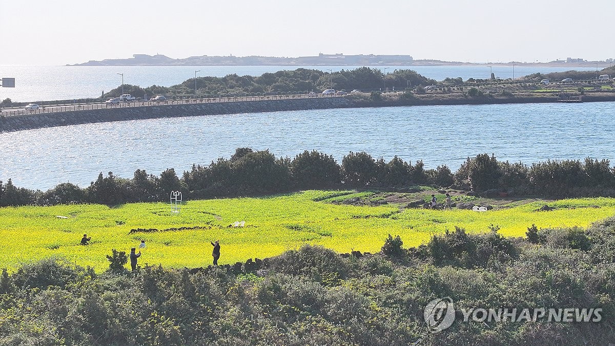 "이러다 관광객 다 뺏긴다"… '비상등' 켜진 제주도, 무슨 일? 6 제주도