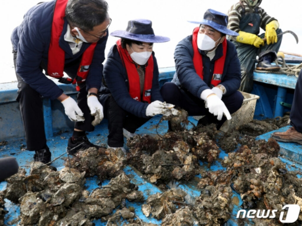 '한국산 최고'라 자부했는데 "또 터졌다"...美서 들려온 '날벼락'에 '글썽' 3 한국산 냉동 굴 리콜