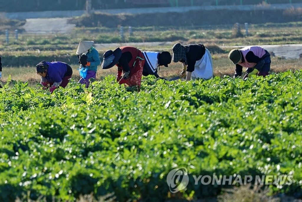 ‘누가 요즘 땀흘려 일해요?’하더니 ”물밀듯이 밀려온다”…우려가 결국 ‘현실로’ 2 농업
