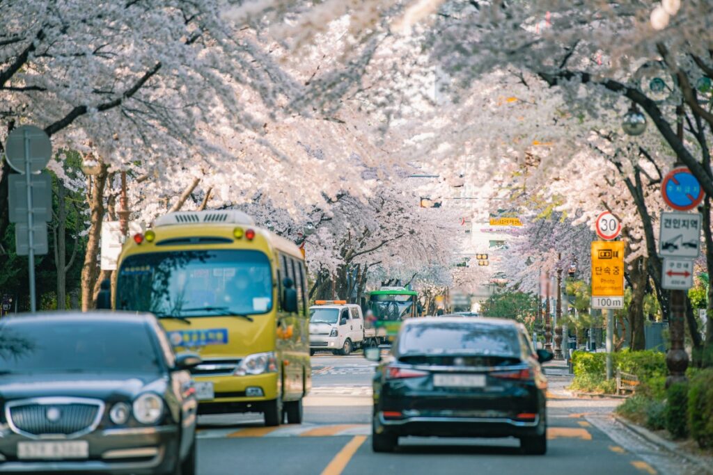 5명 중 1명이 앓고 있는데.. "봄철 비상 걸렸다" 방치하면 심각한 합병증까지 1 알레르기 비염