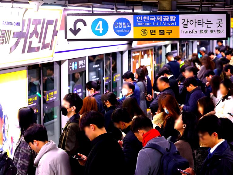 금융이해력 한국인