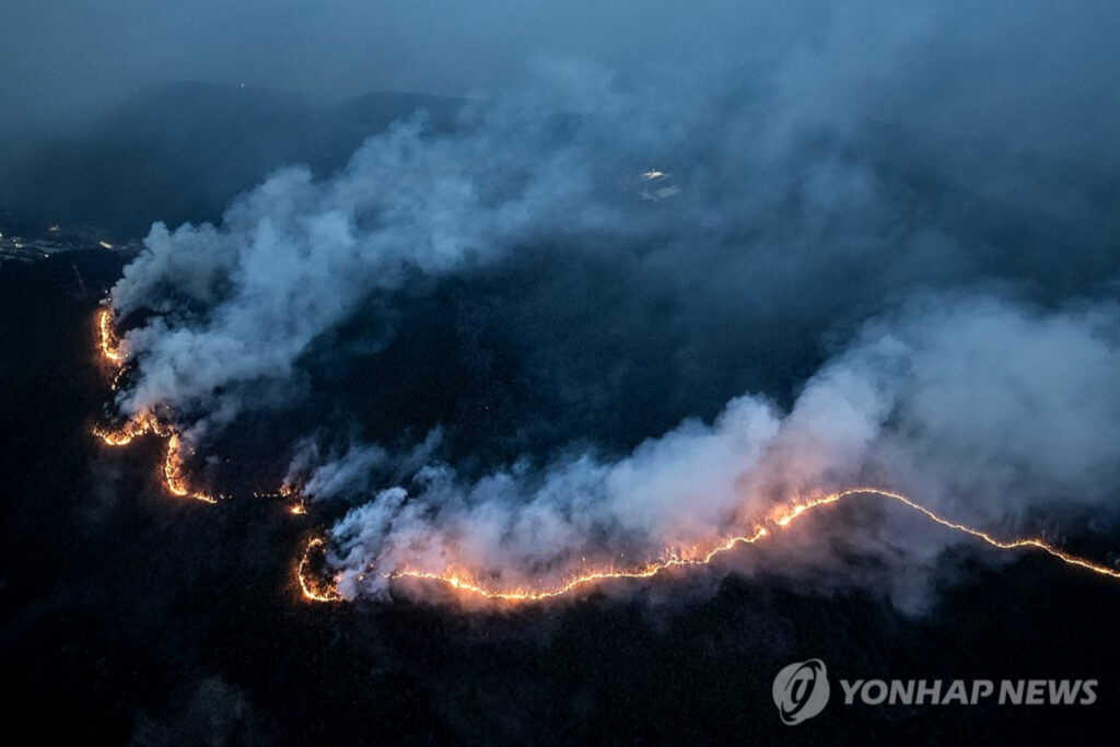 "이젠 안 통한다", "과태료 200만원 폭탄"...참다 못한 정부, 드디어 나섰다 2 정부 산불 피해 대응