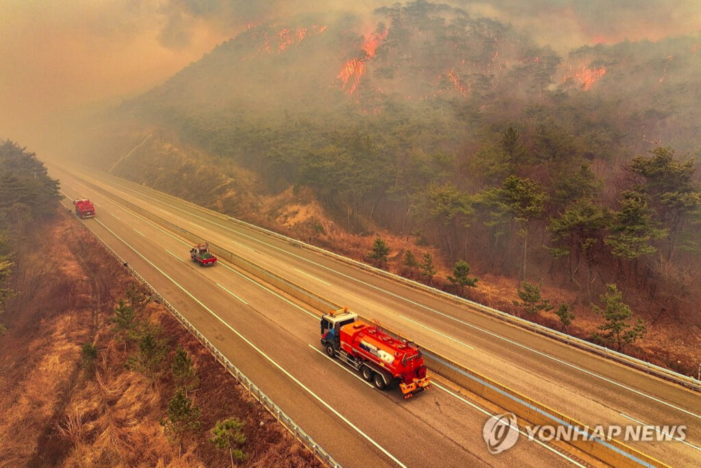 "이젠 안 통한다", "과태료 200만원 폭탄"...참다 못한 정부, 드디어 나섰다 3 정부 산불 피해 대응