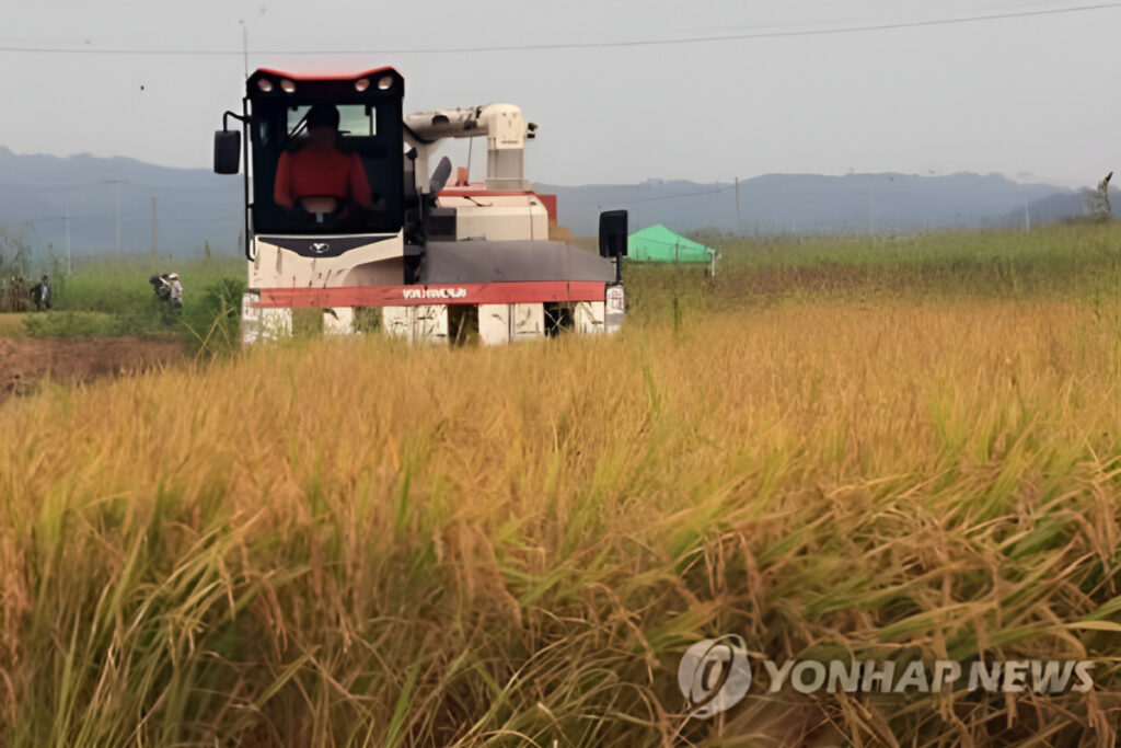 매일 먹는 건데 ‘날벼락’ “초유의 상황 벌어진 일본”…한국도 넋 놓다간 ‘큰일’ 3 쌀