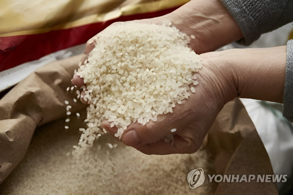 매일 먹는 건데 ‘날벼락’ “초유의 상황 벌어진 일본”…한국도 넋 놓다간 ‘큰일’ 4 쌀