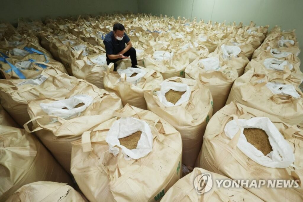 매일 먹는 건데 ‘날벼락’ “초유의 상황 벌어진 일본”…한국도 넋 놓다간 ‘큰일’ 5 쌀