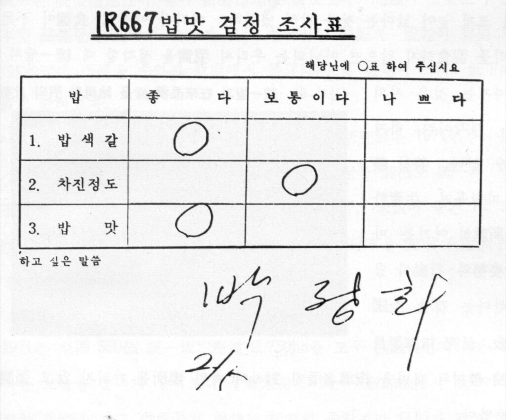 "금보다 귀하던 시절이 있었는데…" 이제는 원조국이 됐다? 대한민국의 놀라운 반전 4 한국 쌀 수출 열풍