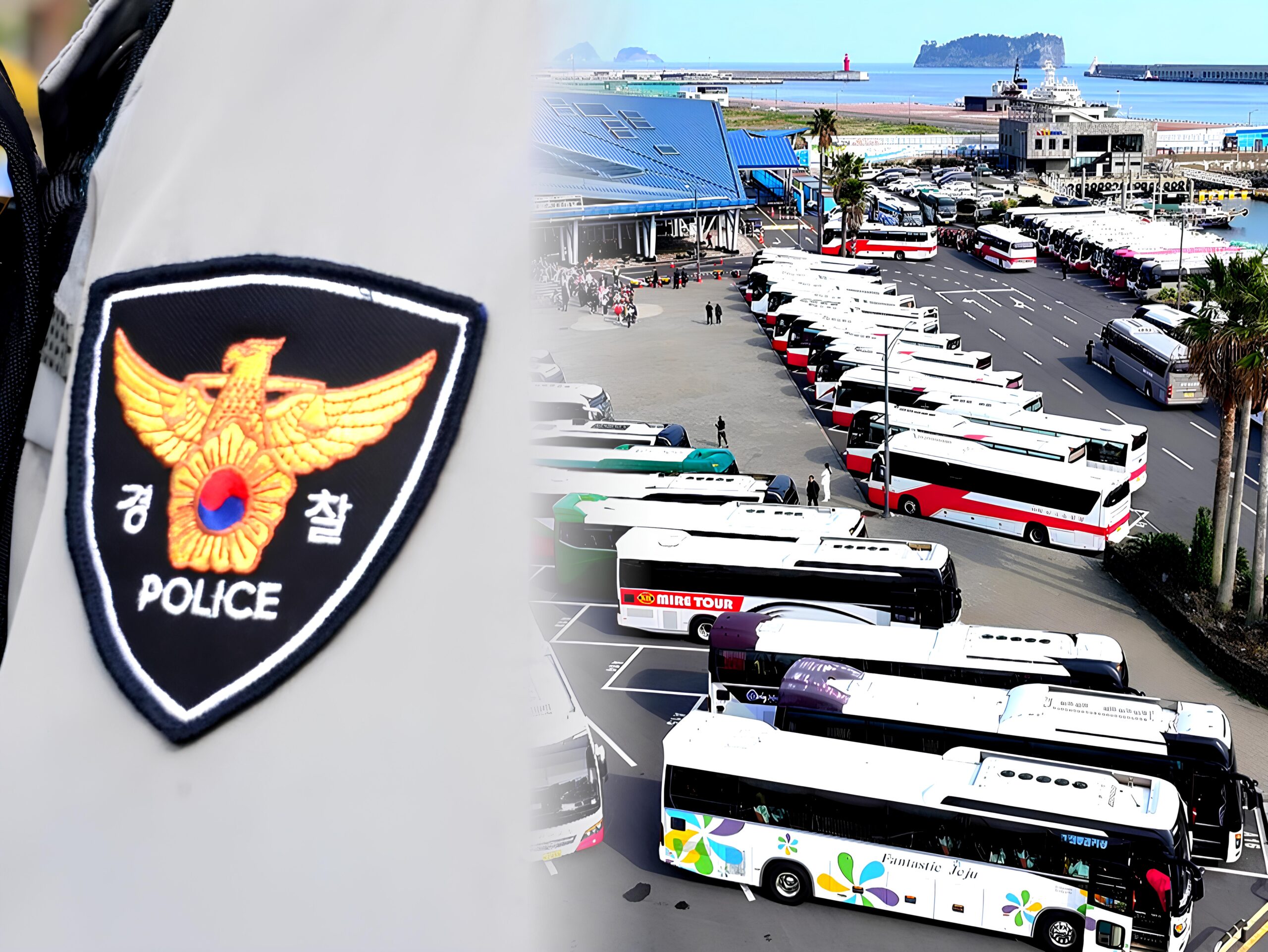 제주도 외국인 관광객 질서