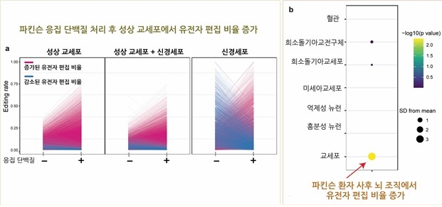 "환갑 넘은 한국인 특히 위험하다더니"…위험 7배 높이는 '단서' 찾았다, 뭐길래? 3 피킨슨병 치료 연구