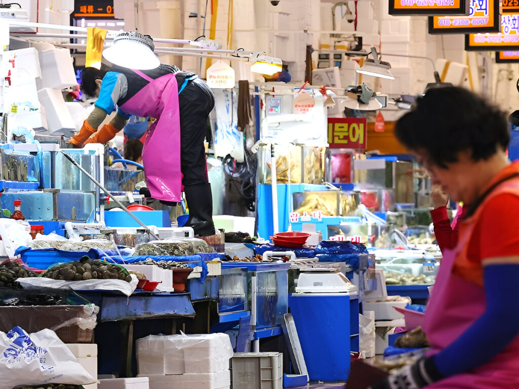 Squid production plunges