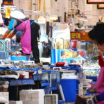 Squid production plunges