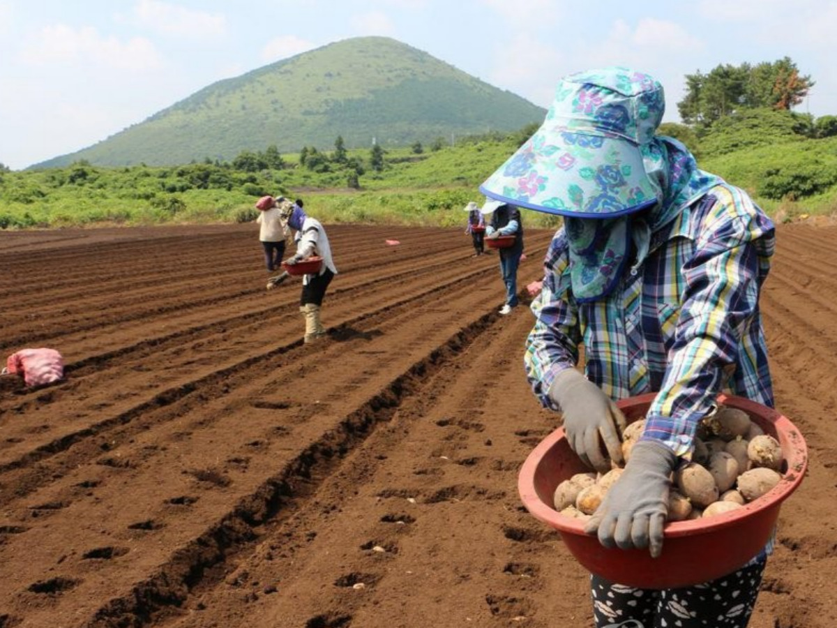 a decline in the agricultural population
