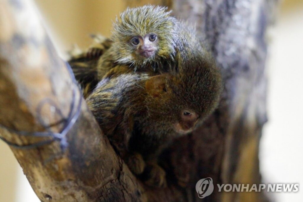 애들 어릴 때 외면했는데 "땅을 치고 후회해요"…눈물 짓는 5060, 왜? 3 육아