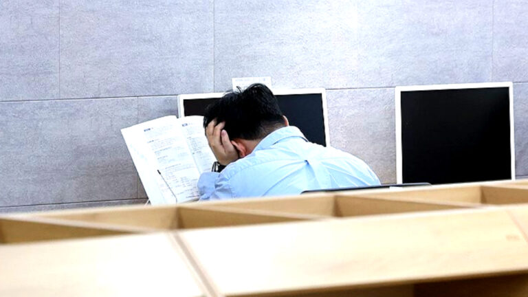 청년 니트족 증가