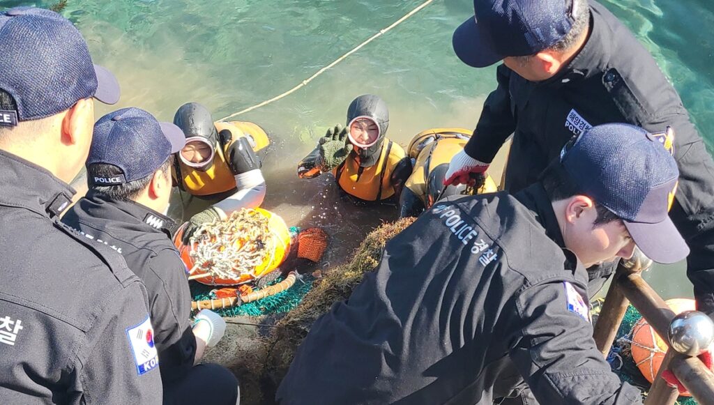 유네스코 지정된 한국인의 삶 "이 정도일 줄은"...1500년 극한 생존이 만든 '놀라운 차이' 3 제주 해녀 유전자