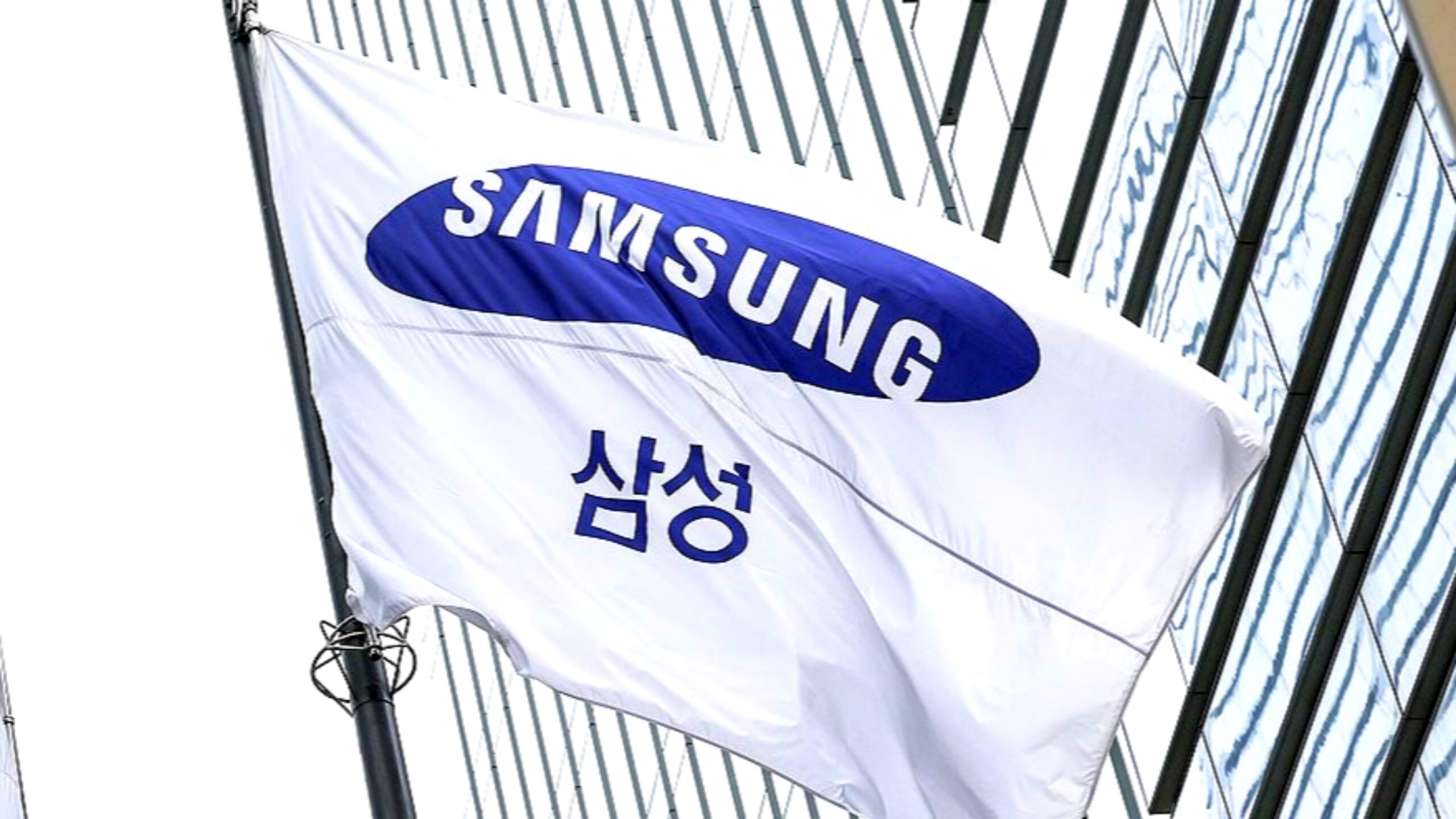 삼성전자 닌텐도 2 공급