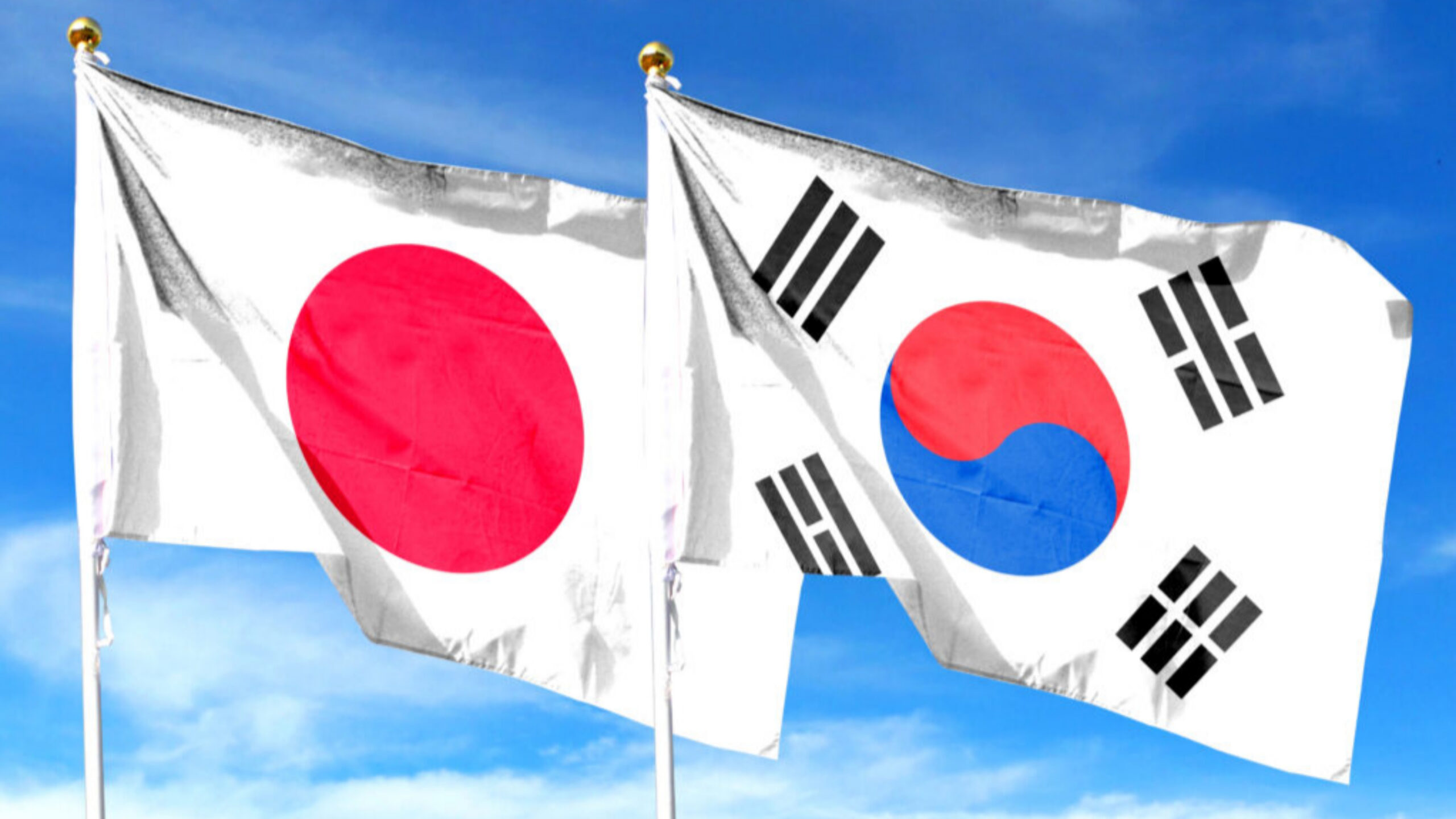 샤인머스캣 한국 수출 효자